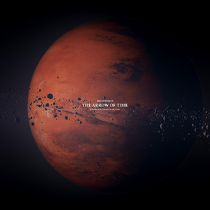 成人免费毛片❌❌❌加视频
